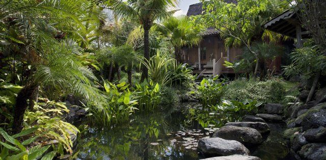 Villa Dea Radha, Jardin Tropical